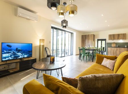 Les appartements Maison Roussel