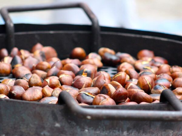 Châtaignes d'Ardèche