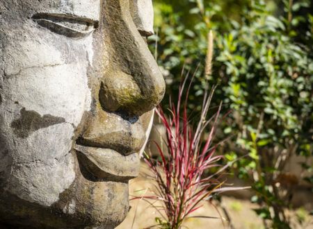 Les appartements Maison Roussel